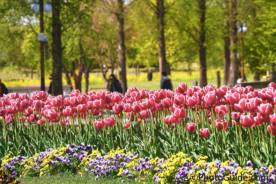 순천만국제정원박람회