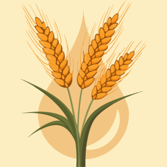 폴리글리세린-이미지-예시