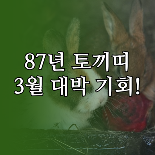 2026년 3월 87년생 토끼띠 운세..