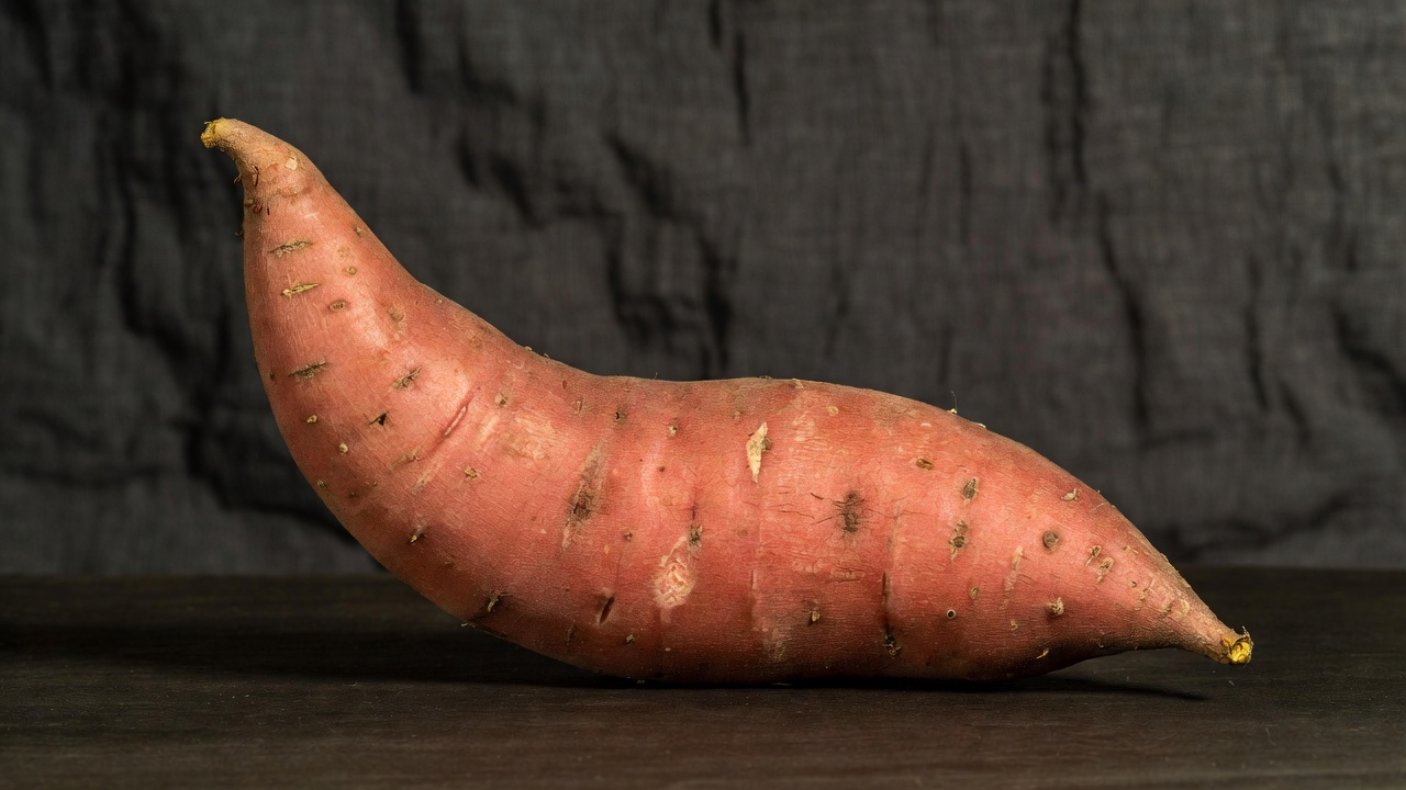 췌장에 좋은 음식 10가지 추천