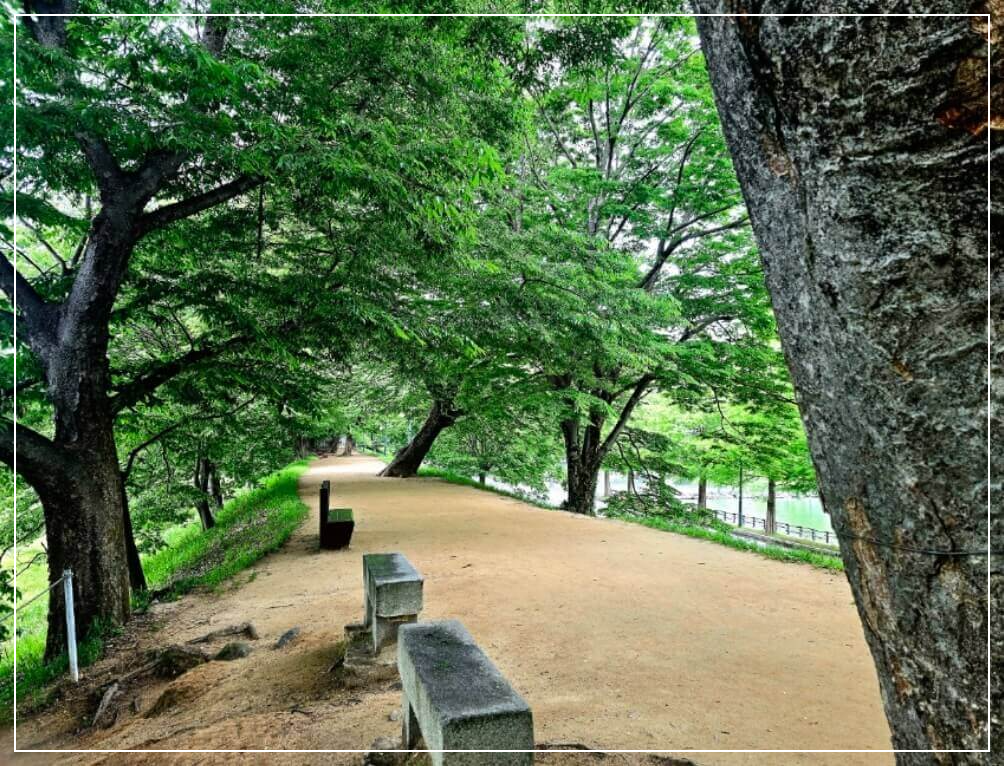 담양 가볼만한곳 베스트10 관방제림