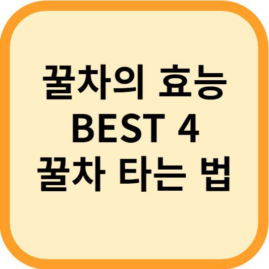 꿀차 타는 법 핵심은 "이것"