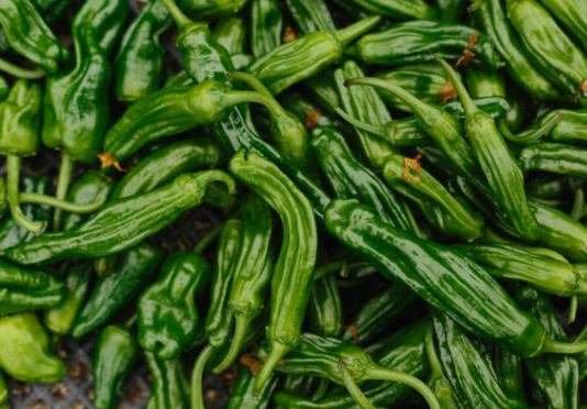 편스토랑-레시피