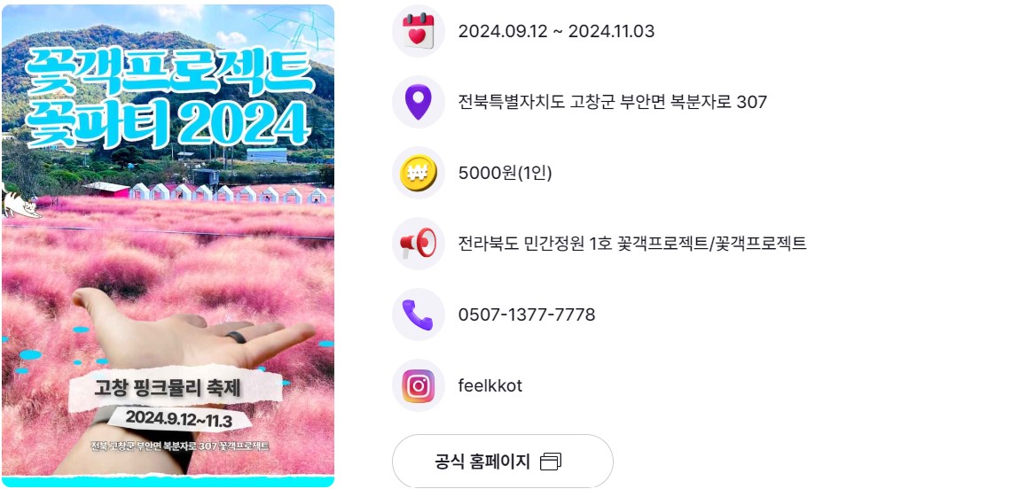 핑크뮬리 축제