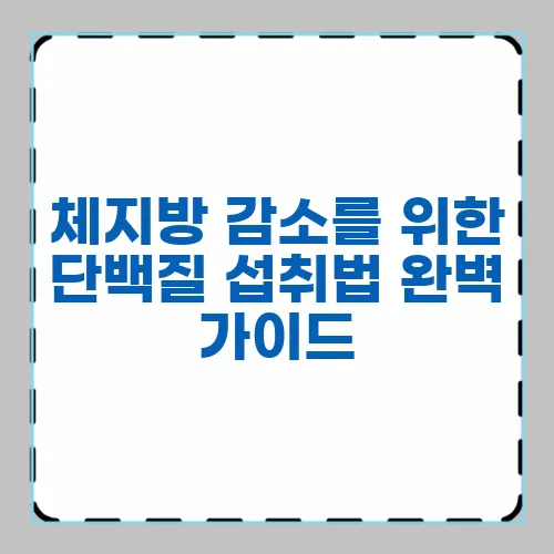 체지방 감소를 위한 단백질 섭취법 완벽 가이드