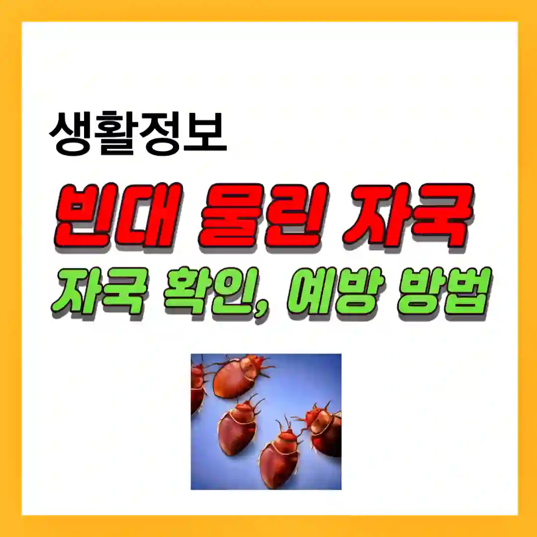 빈대 물린 자국 확인 방법에 대한 썸네일 사진 입니다.