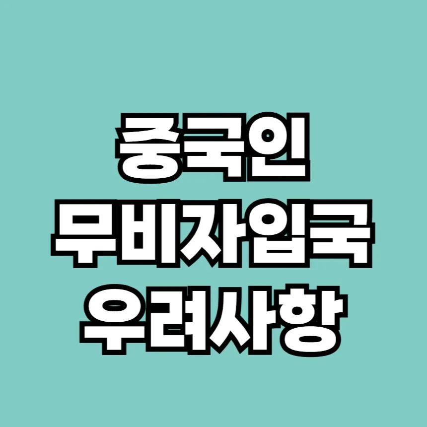 중국인 무비자 입국