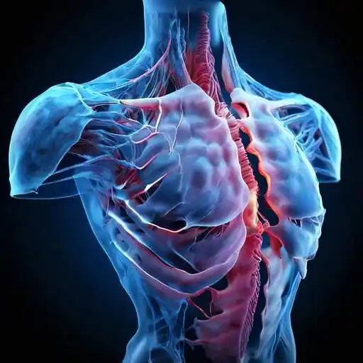 개인택시 면허 자격 조건 (자격시험,양수교육)