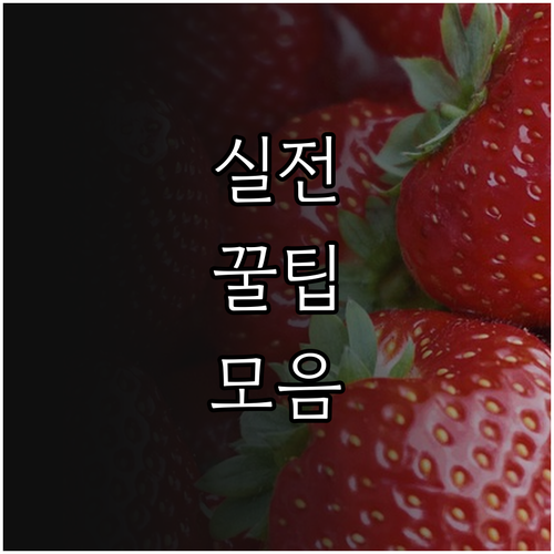 발달장애인 개인별지원계획 2025년 ..