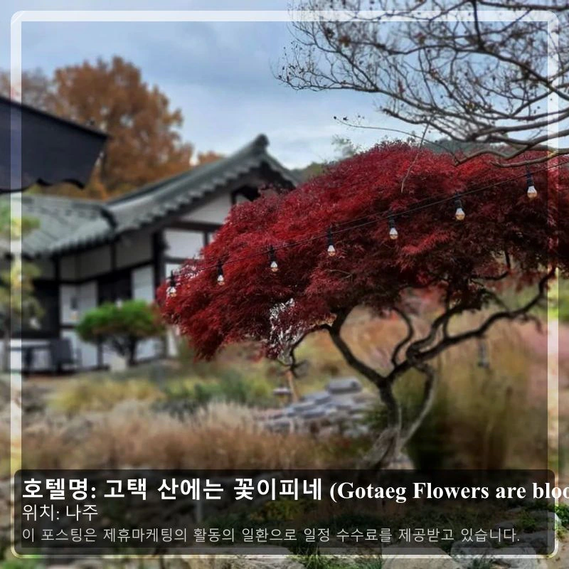 고택 산에는 꽃이피네 (Gotaeg Flowers are blooming on the mountain)_1