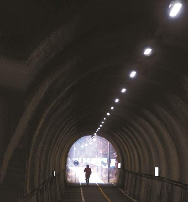 세계사에서의 4년 연임제