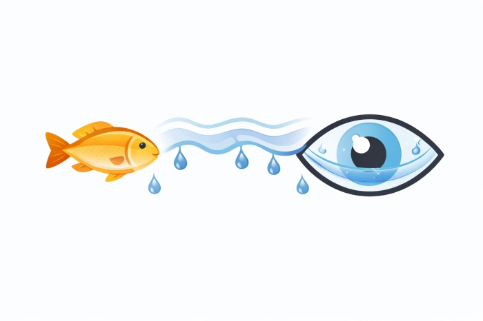 눈에 좋은 음식 10가지