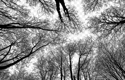 저공해차 스티커 발급