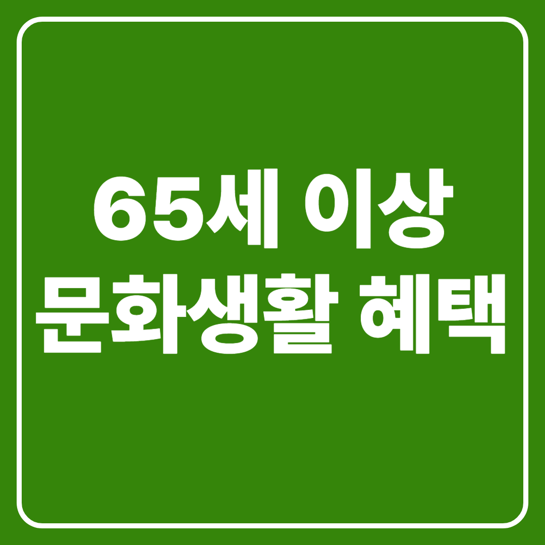 65세 이상 문화생활 헤택