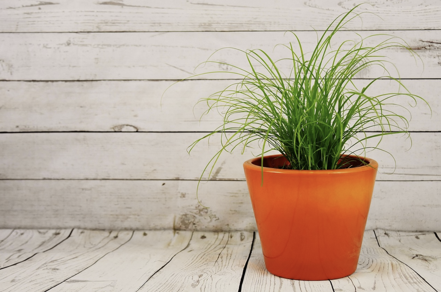 오바마케어 미국 의료보험 개혁의 역사적 전환점