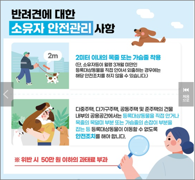 반려견 소유자