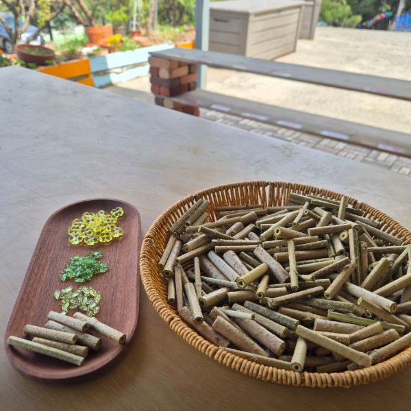 우리들유아숲체험원