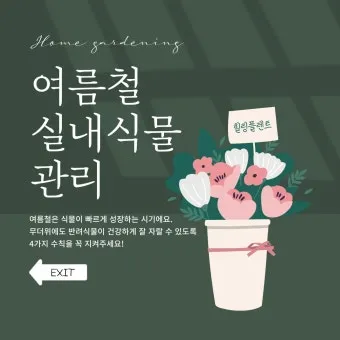 실내화분 환기 요령 미세먼지 많은날 창문관리 공기청정기 병행 팁_7