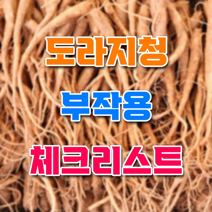 도라지청 부작용 체크리스트
