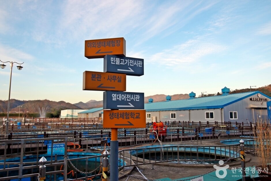 충주 가볼만한곳 베스트 10