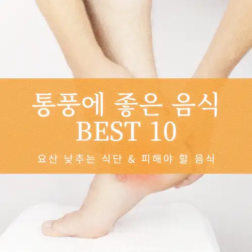 통풍에 좋은 음식 BEST 10