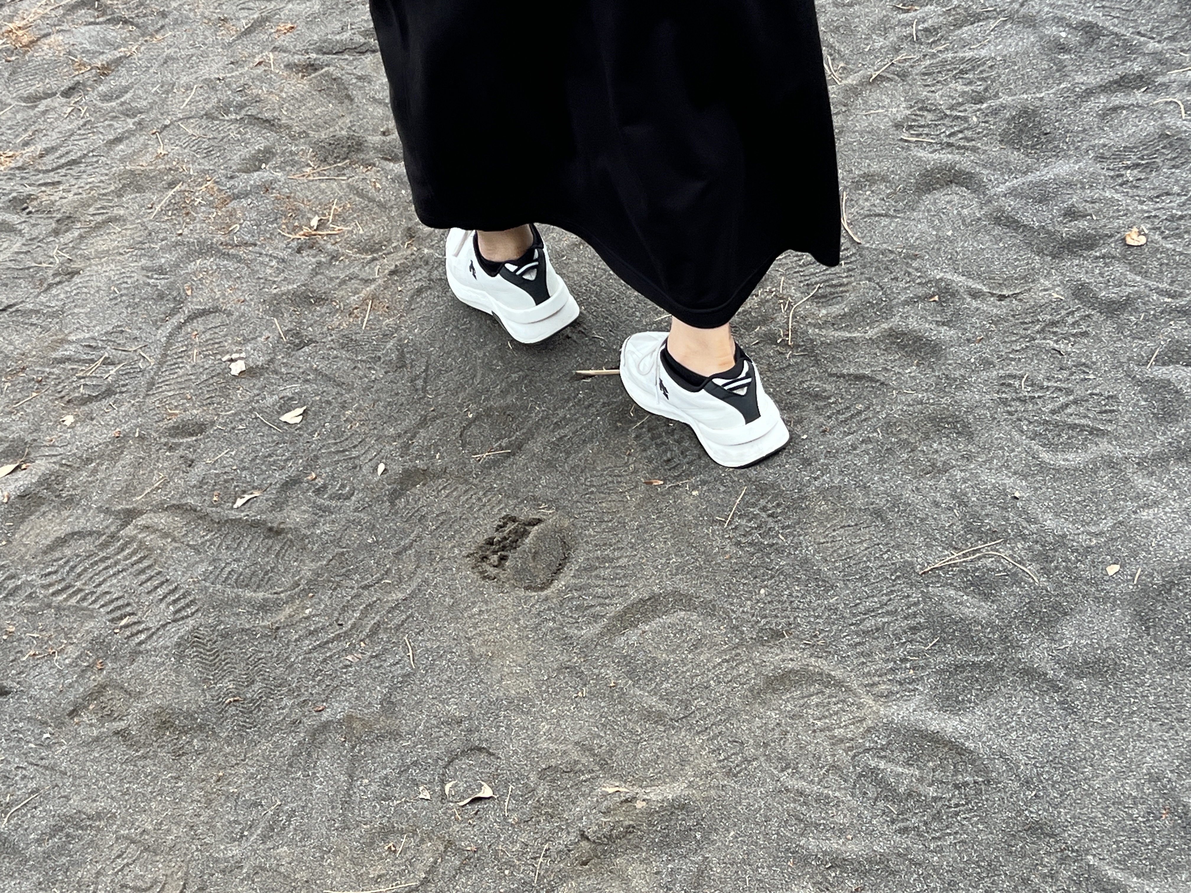 제주도 검은모래 반출