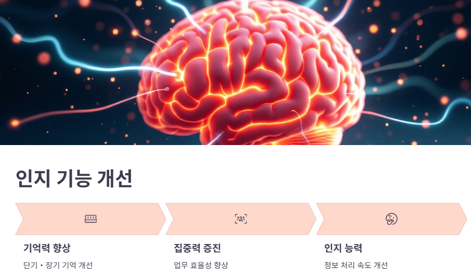 아쉬아간다의 대표적인 효능