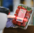 쿠팡 물류센터 알바