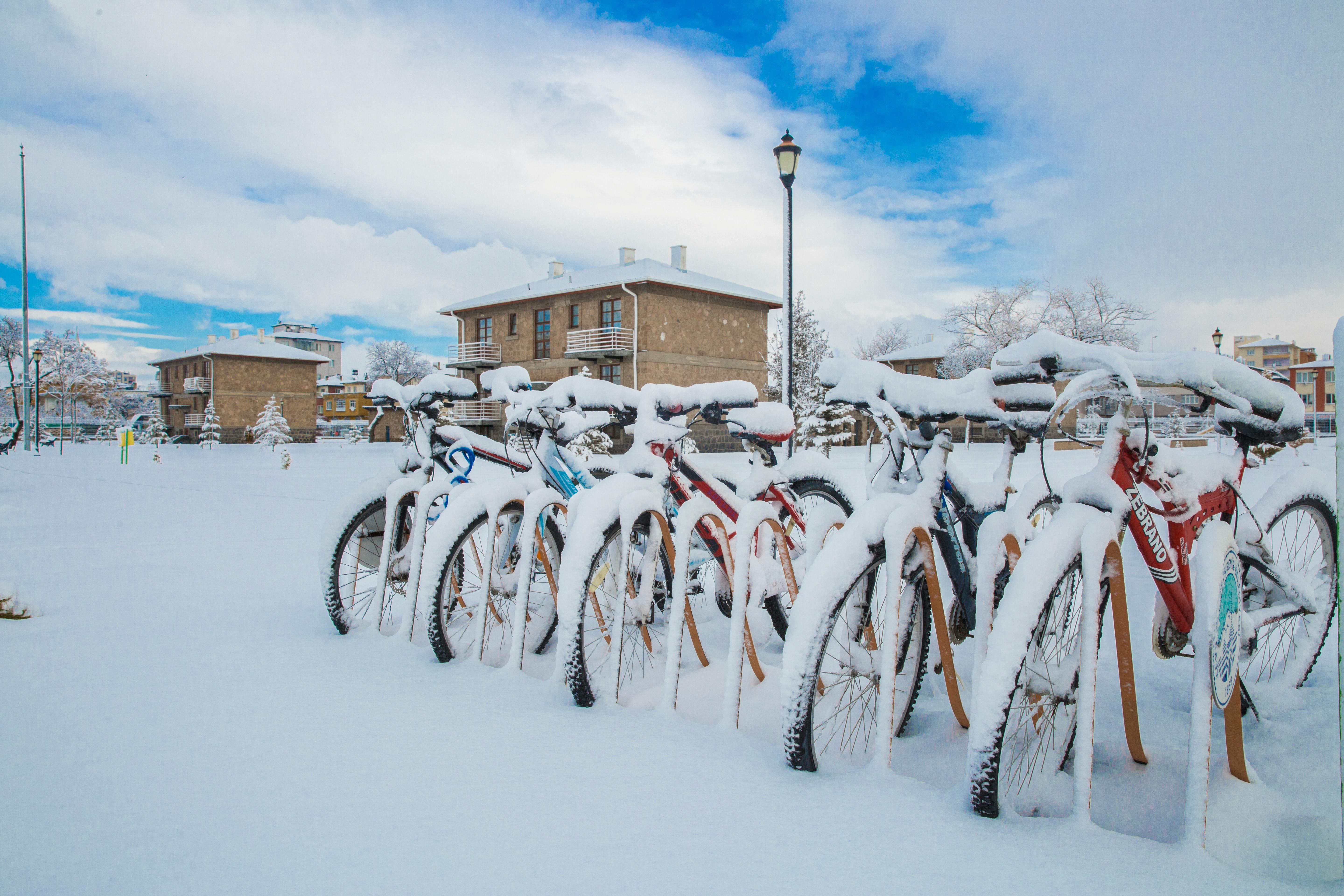 스포츠-팻바이크