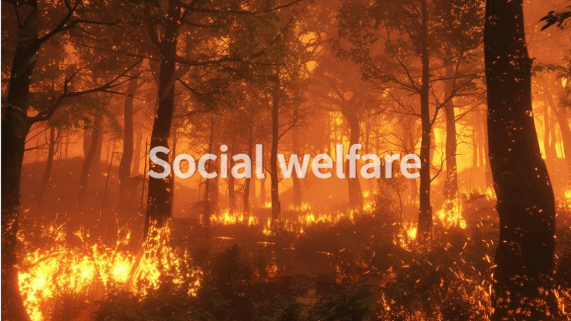 산불 피해 지원 대책