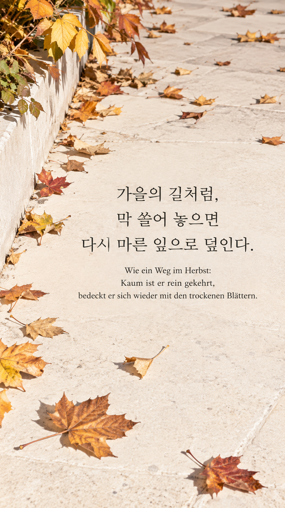 독일어 명언 22 프란츠 카프카 가을의 길처럼, 막 쓸어 놓으면 다시 마른 잎으로 덮인다. — 쓸어 놓은 밝은 보도 위 마른 낙엽