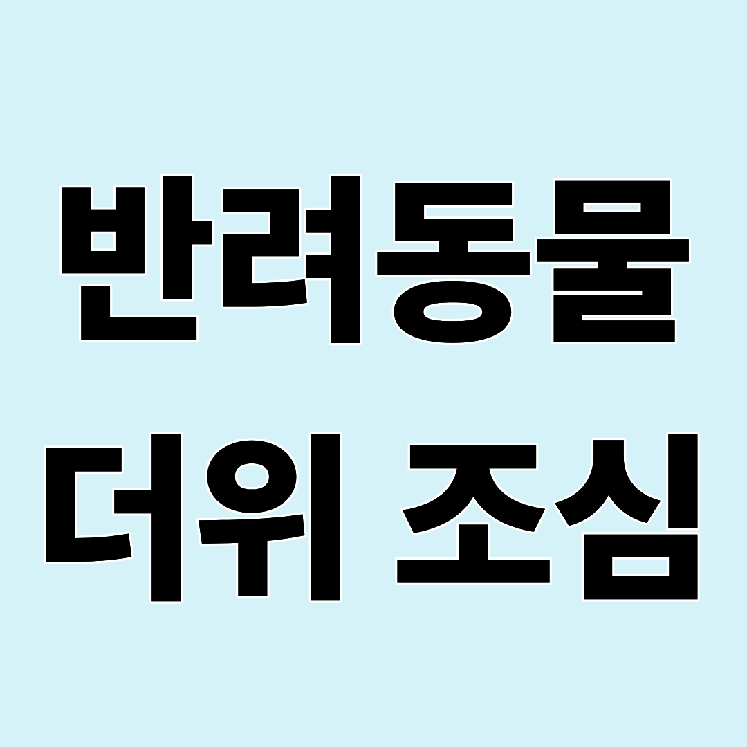 여름철 반려동물 건강관리! 강아지·고양이 열사병 예방법과 응급 대처법