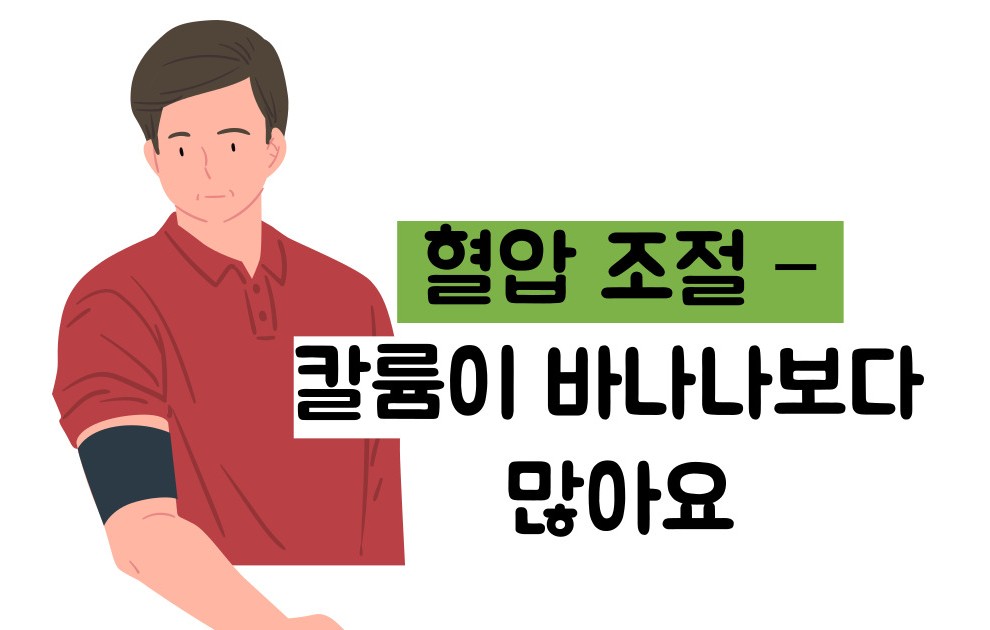 아보카도 효능