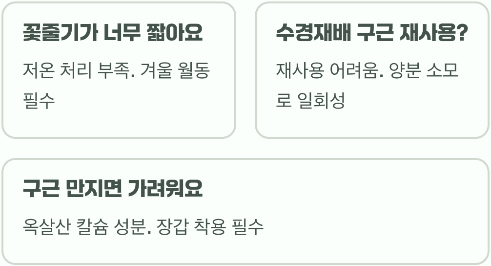 히아신스 키우는 법 완벽 가이드&amp;#44; 초보자도 실패 없는 화분&middot;정원 재배 요령