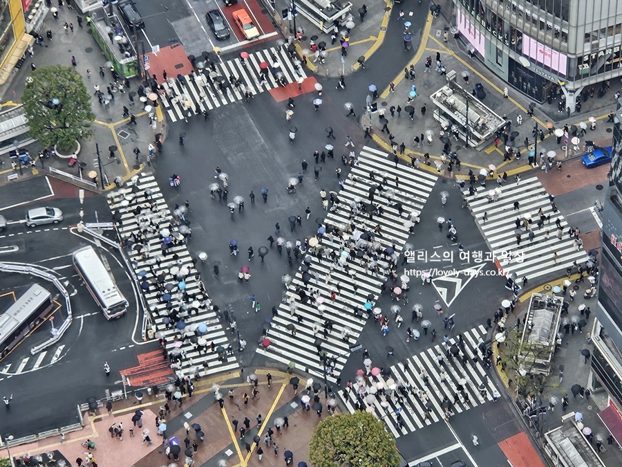 도쿄 여행 시부야 스크램블 교차로 카페 추천 TOP 05