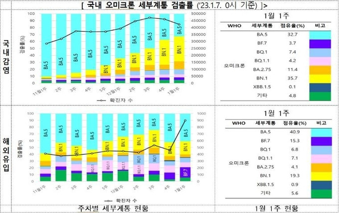 중국 감염병