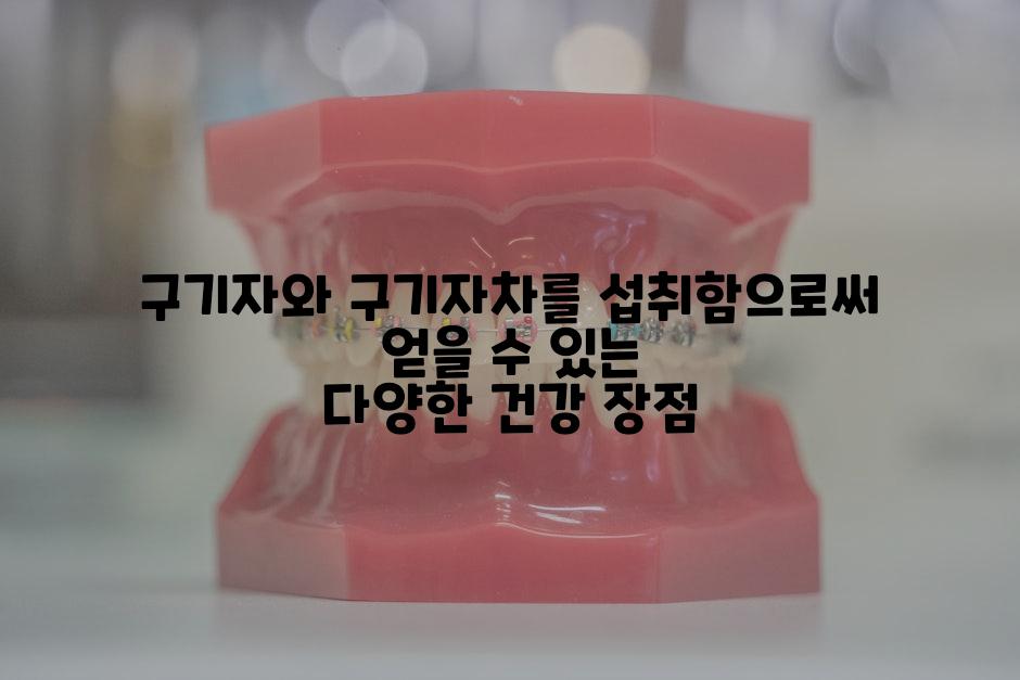 구기자와 구기자차를 섭취함으로써 얻을 수 있는 다양한 건강 장점