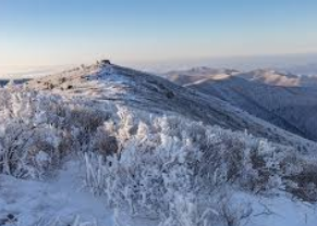 태백산 국립공원 홈페이지