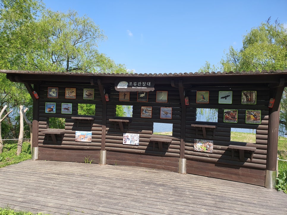 고덕수변생태공원