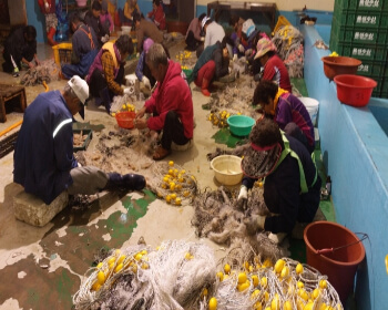 무창포 대하 전어축제_31