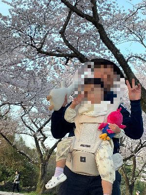 2026년 아기 힙시트 추천, 포그내 맥스 올인원 아기띠 직접 사용해 보니 만족했던 이유