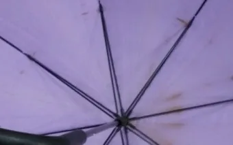 우산 곰팡이 건조 방법과 보관 팁 방습제 활용_14