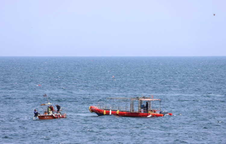 초곡용굴촛대바위길