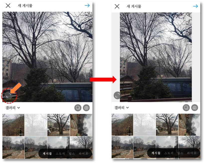 사진-사이즈변경