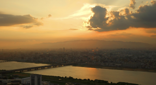 영화 블랙스완, 조현병 증세 원인 치료법