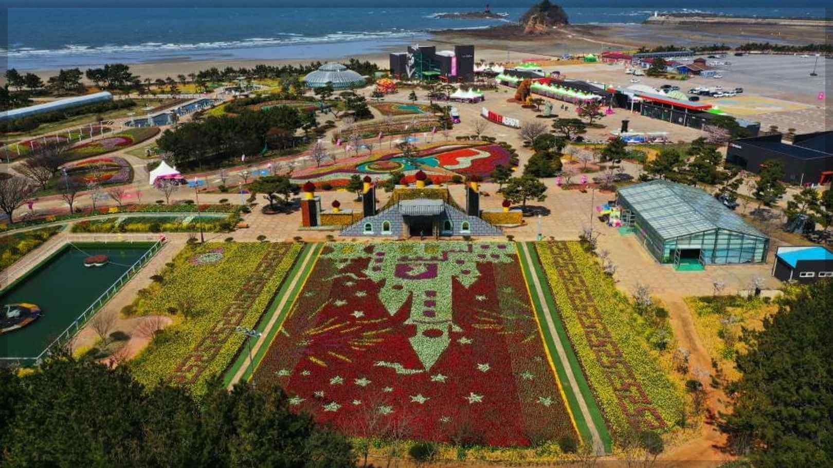 2024 태안 튤립 축제 일정 기간 입장료 할인 주차장