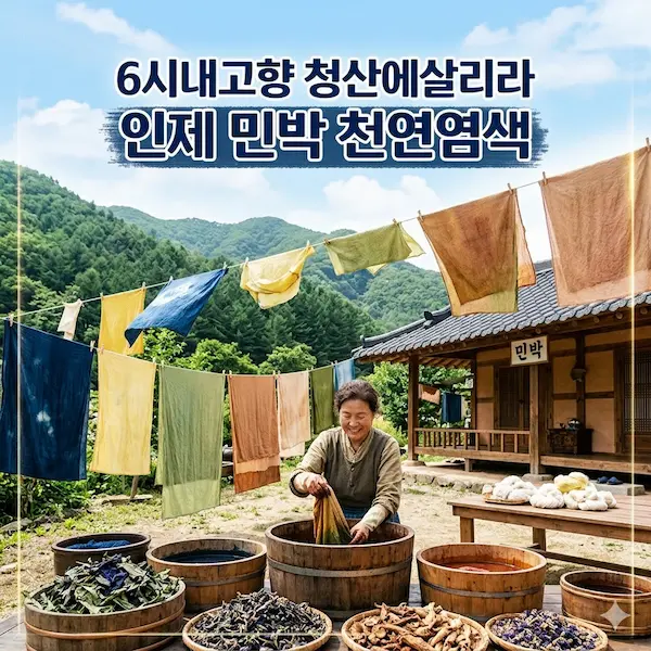 6시내고향 청산에살리라 인제 민박 천연염색