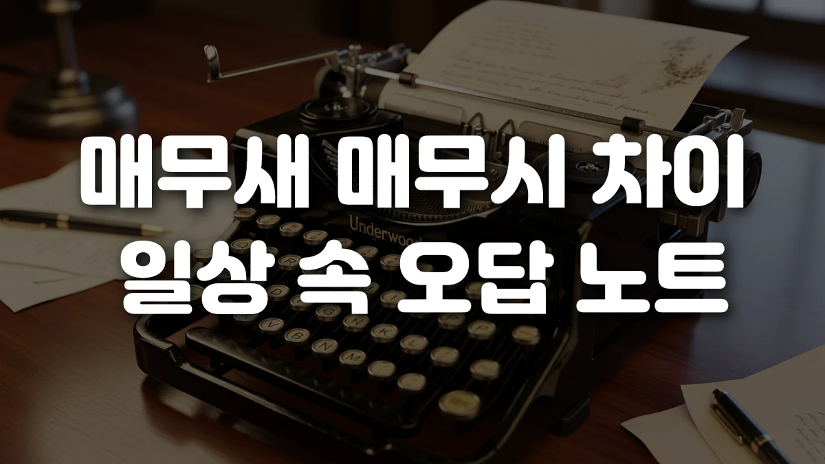 매무새 매무시 차이 일상 속 오답 노트