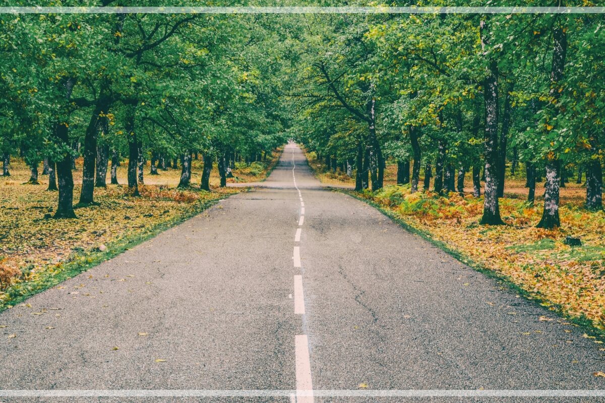 중년 리부트 라이프 (갭이어, 리셋, 전환) 관련 사진