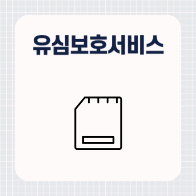 SKT 유심보호서비스